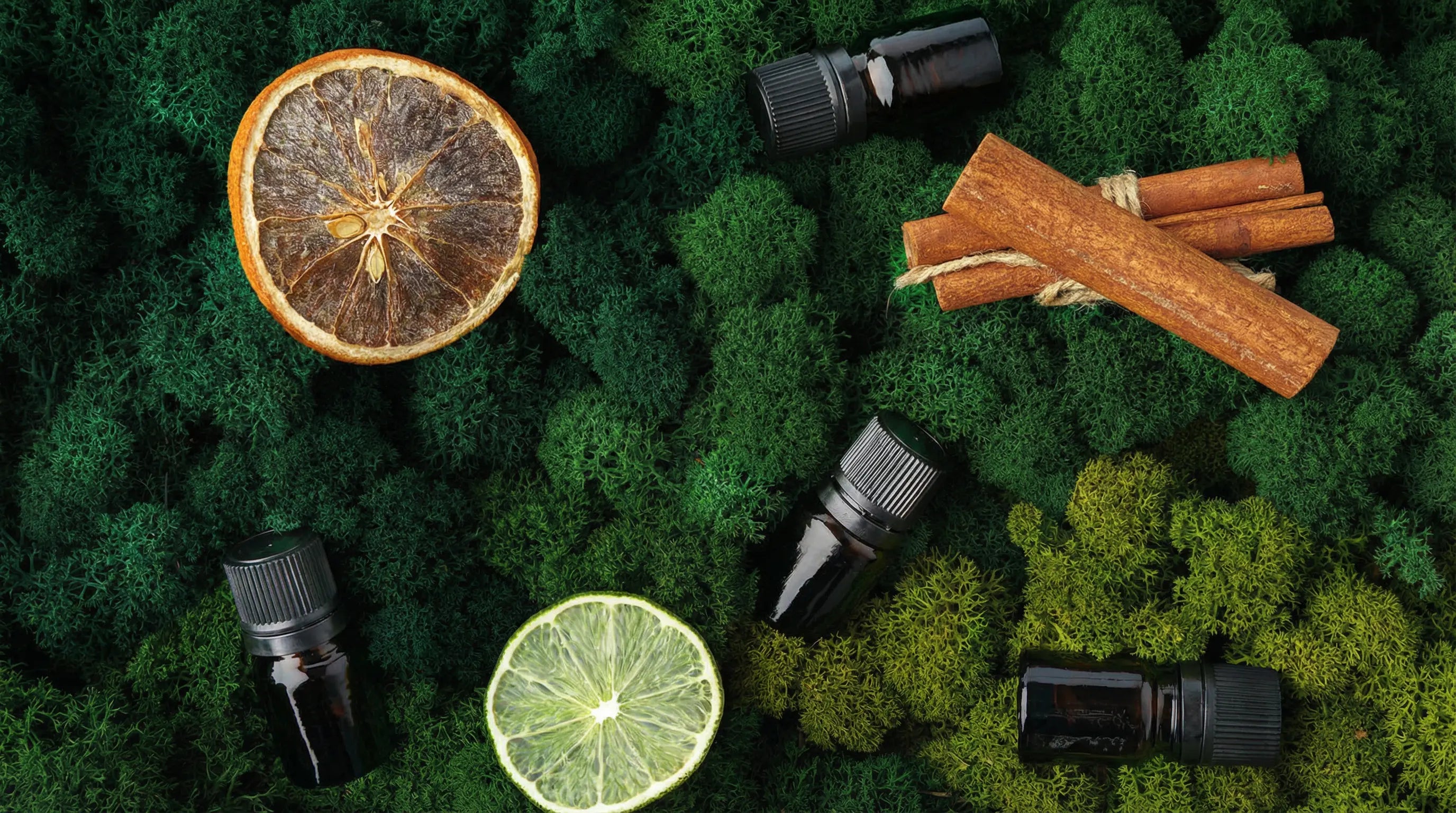 Best Terpenes: How to Choose the Right Ones for Your Needs