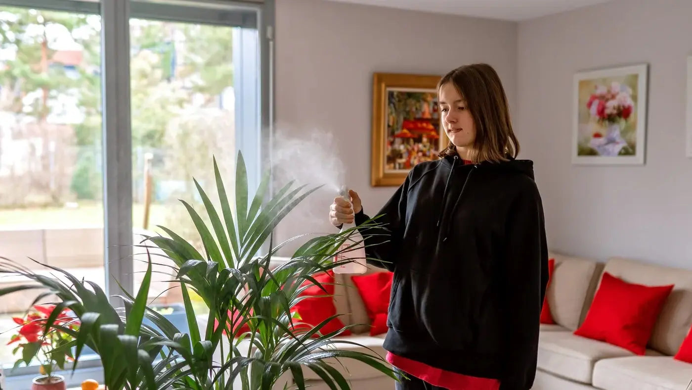 Best Way to Hide Weed Smell in Room: Proven Odor Control Methods