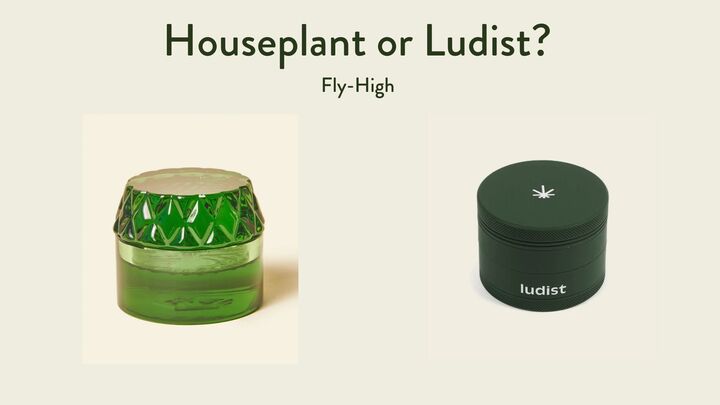 Houseplant vs Ludist Grinder