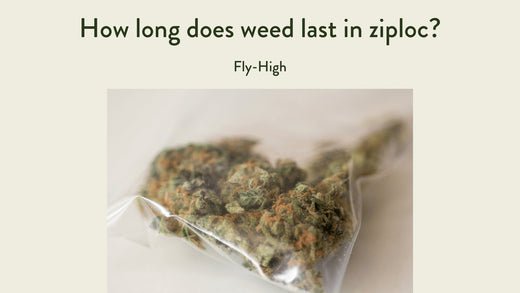 Close-up of cannabis buds stored in a sealed Ziploc bag, accompanied by the text 'How long does weed last in Ziploc?' The image suggests a focus on the longevity and preservation of weed when stored in a plastic bag.
