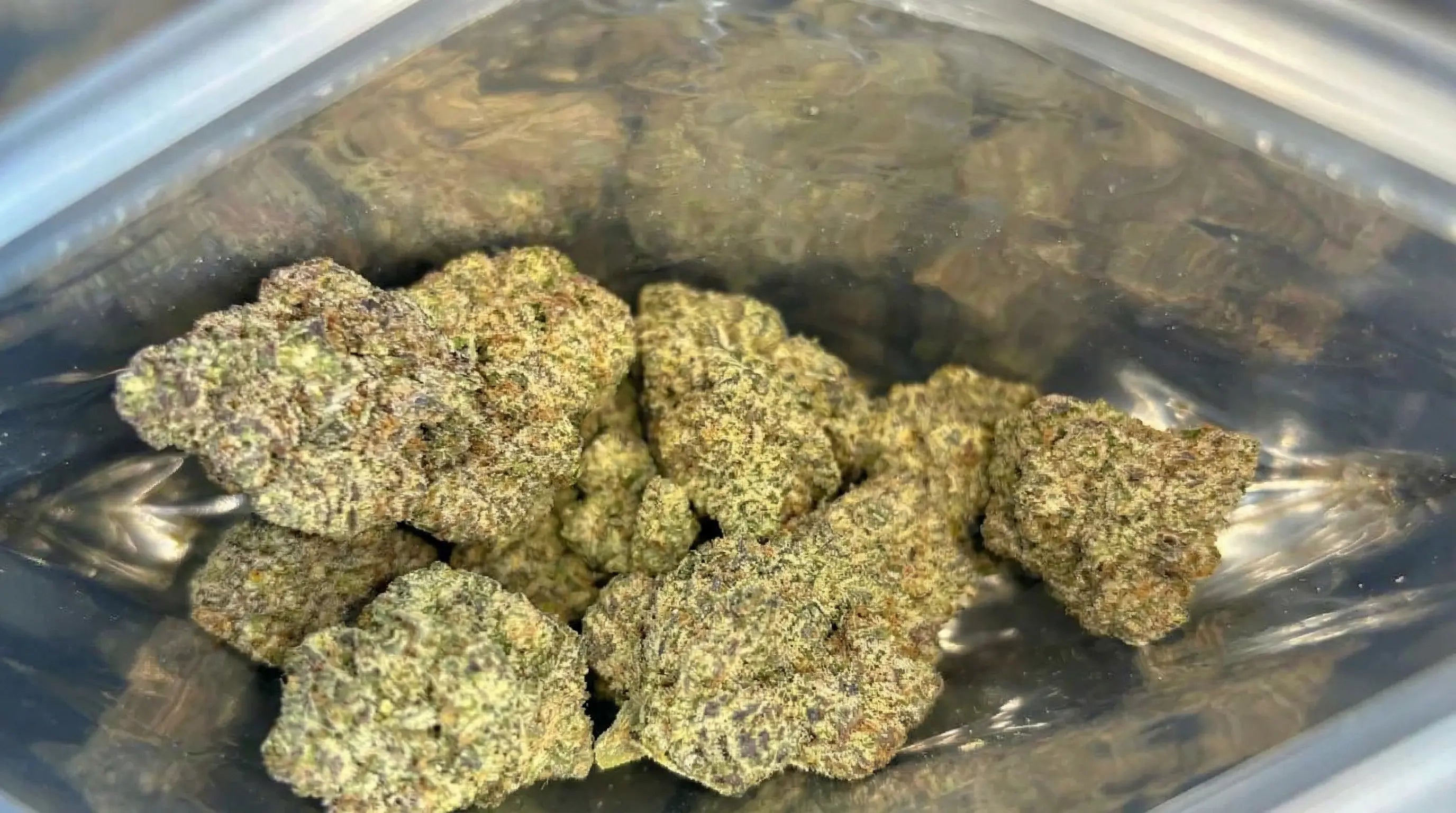 How Long Is Weed Good in a Plastic Bag?