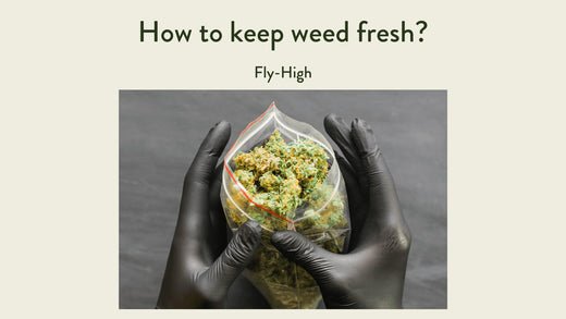 Person wearing black gloves holding a sealed plastic bag filled with fresh cannabis buds, accompanied by the text 'How to keep weed fresh?' The image emphasizes the importance of proper storage methods to maintain cannabis freshness.