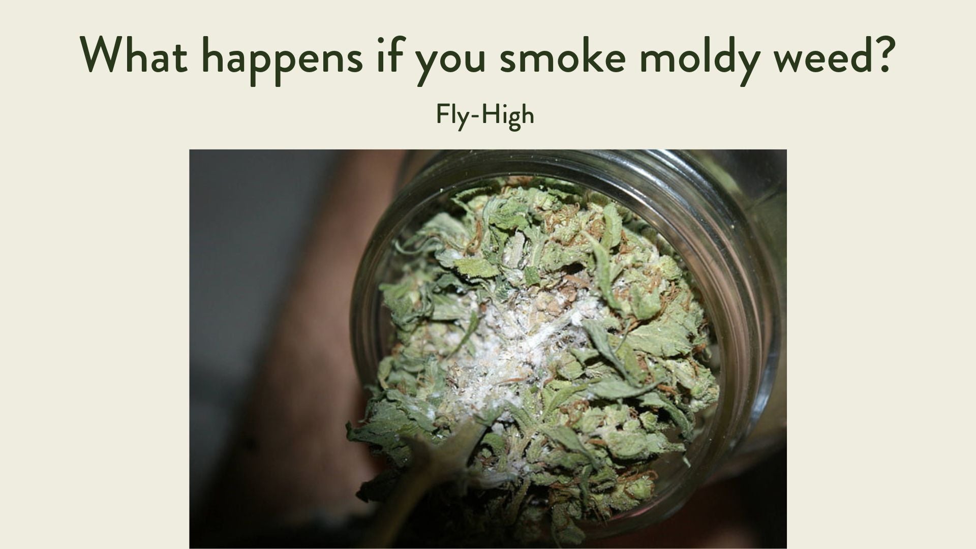 what happens if you smoke moldy weed