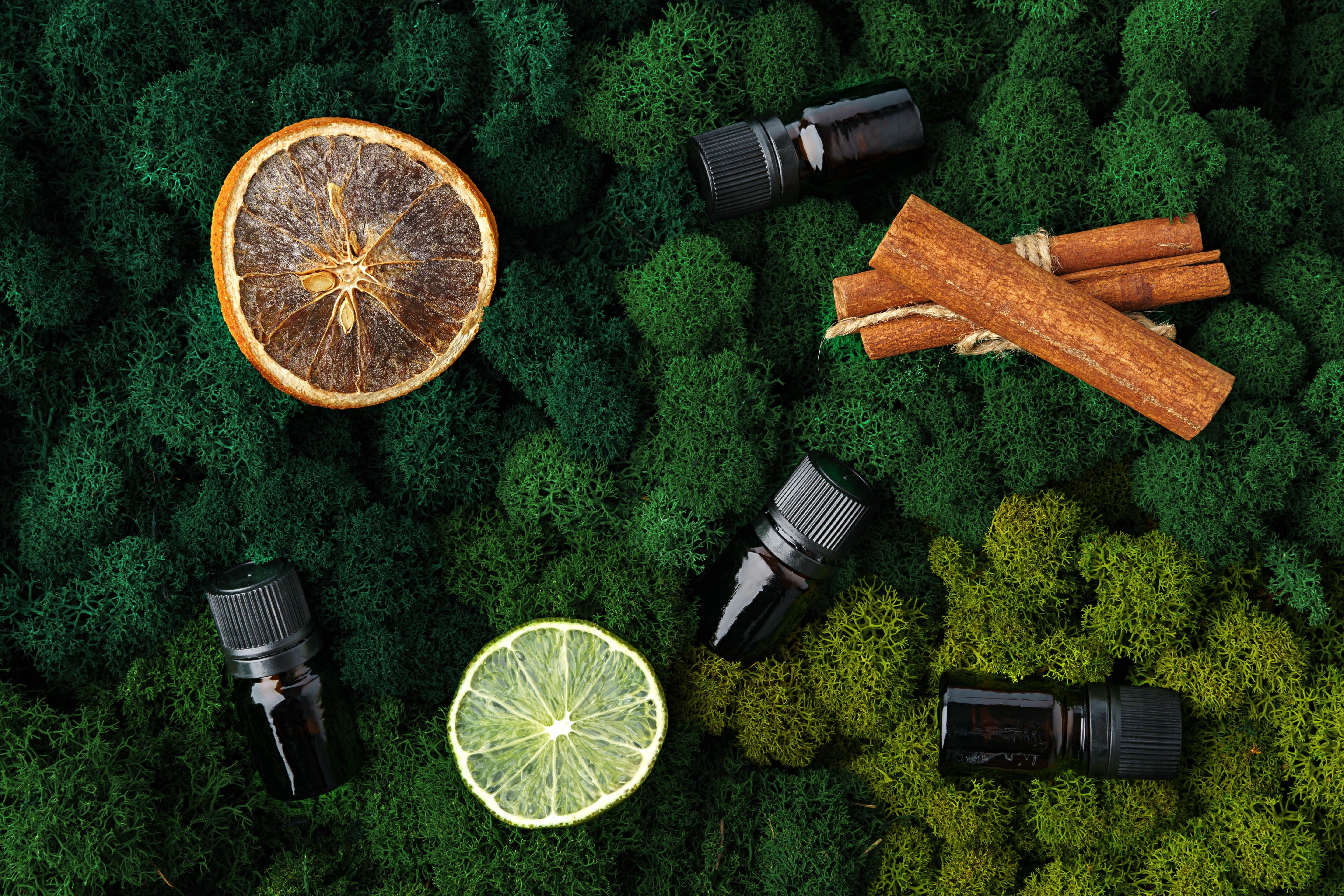 best terpenes