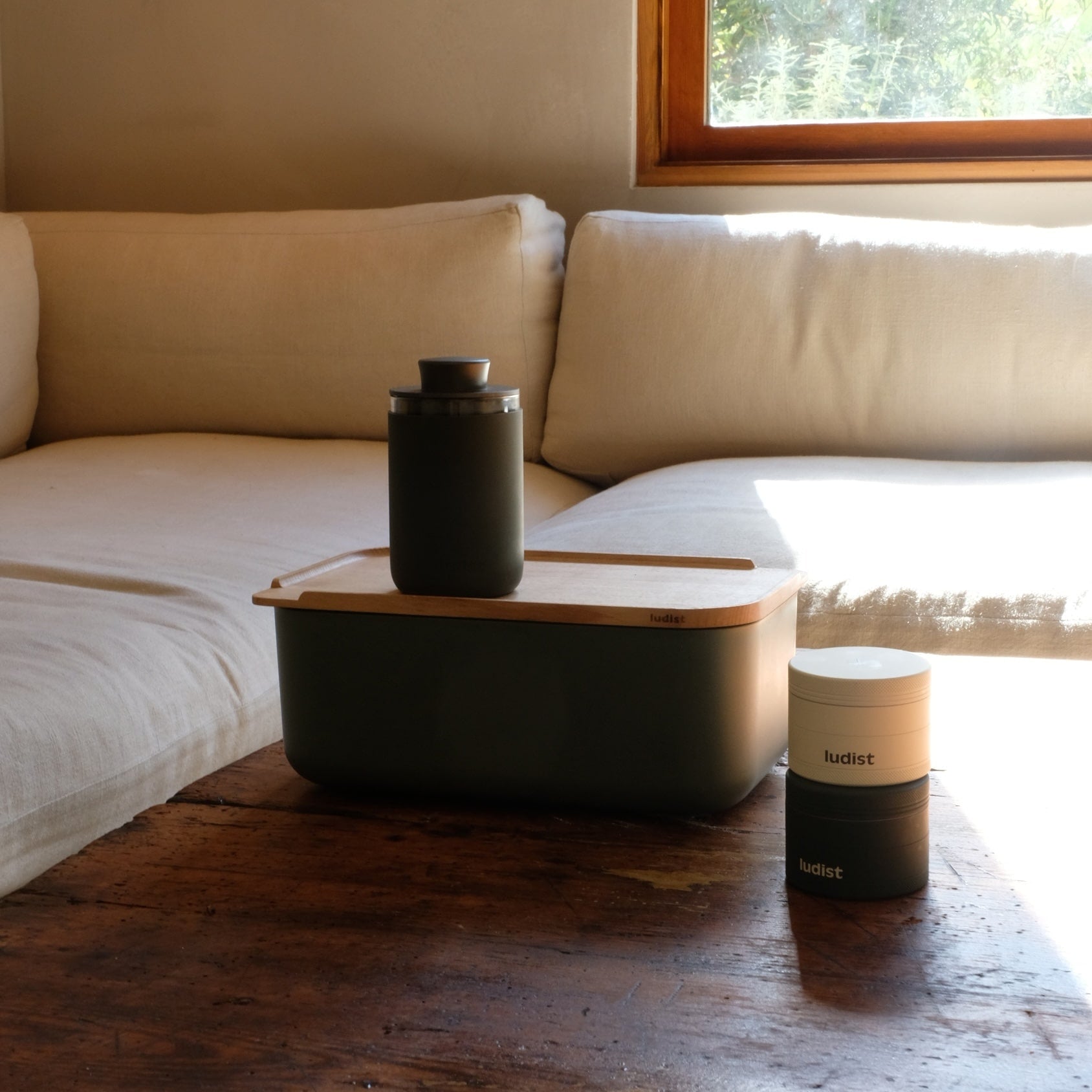A single green leaf against a white background.