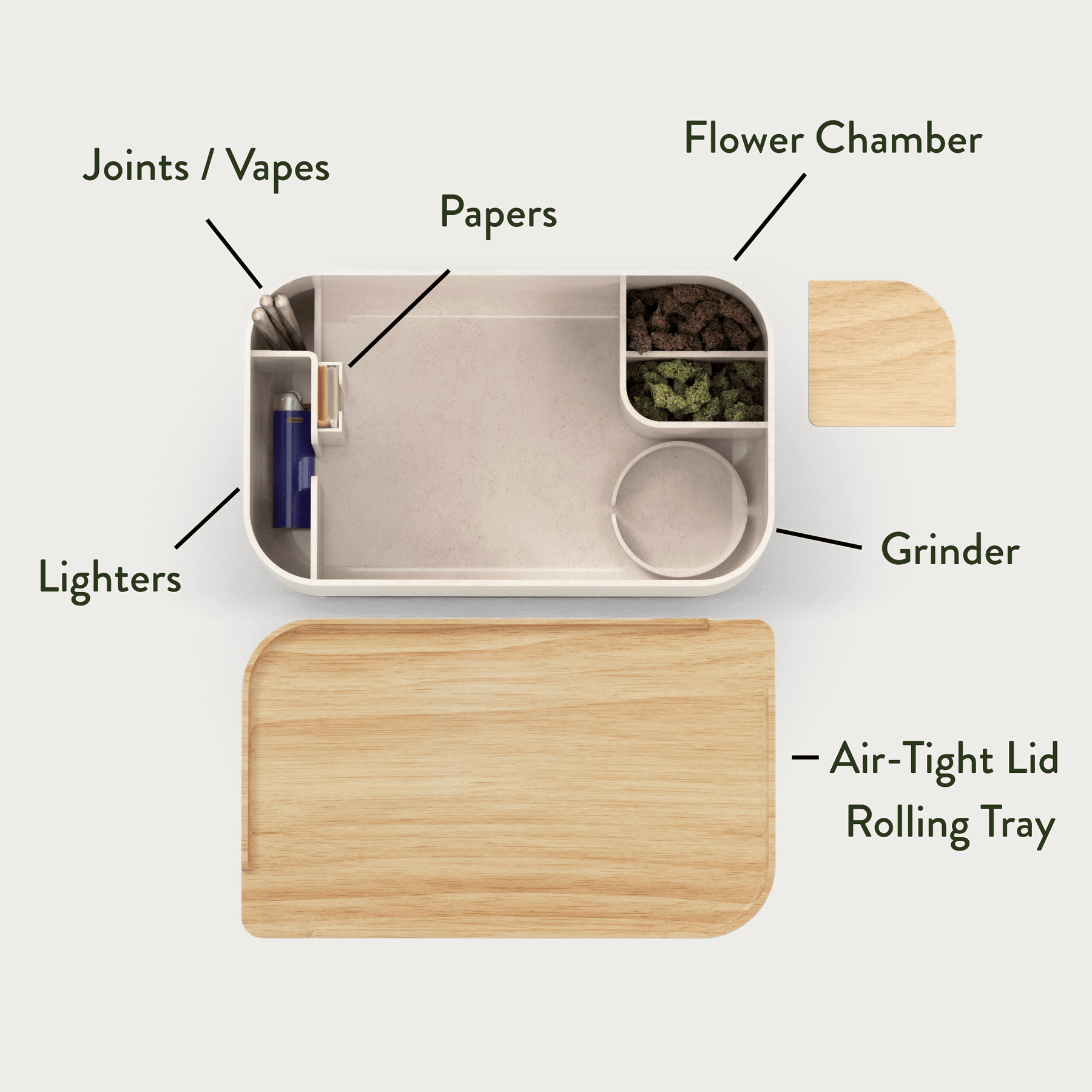 A single green leaf against a white background.