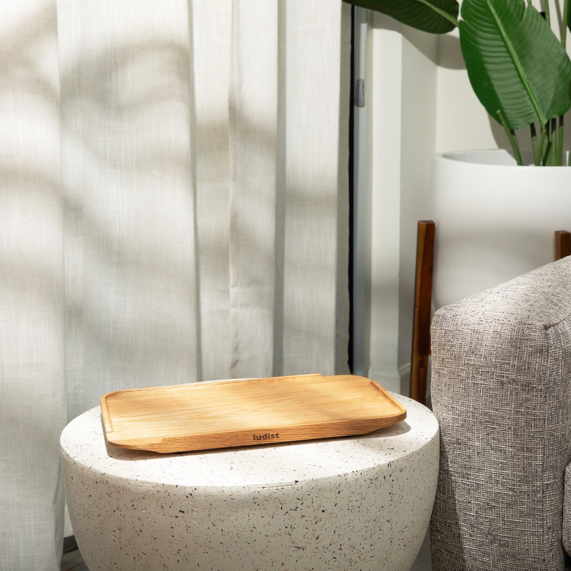 A single green leaf against a white background.