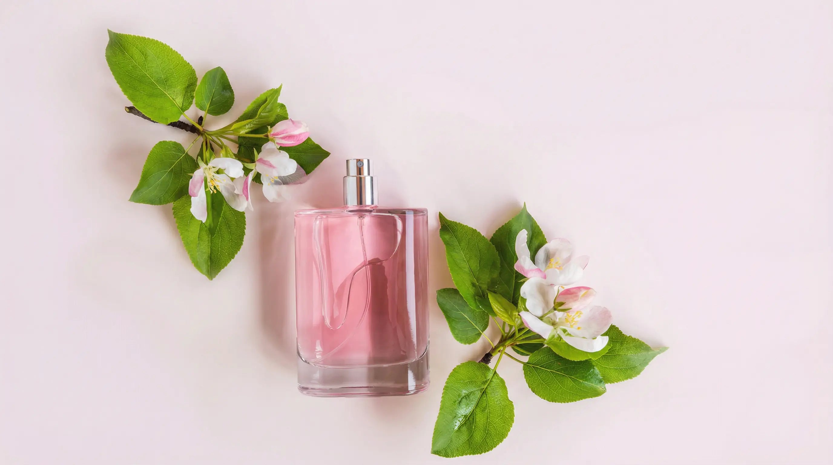 Best Perfume to Cover Up Weed Smell: Scents That Actually Work