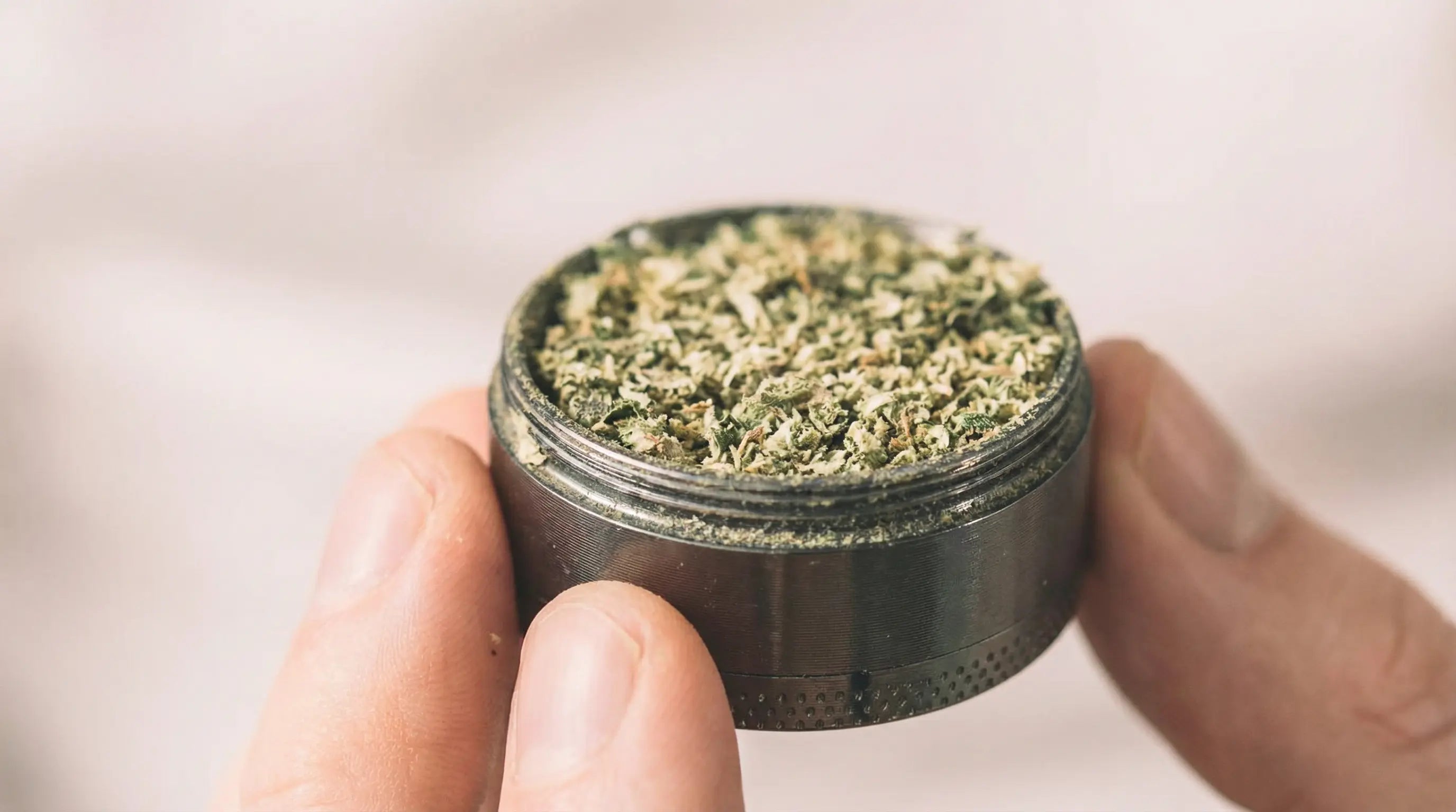 Do You Need a Grinder for Weed? Full Guide