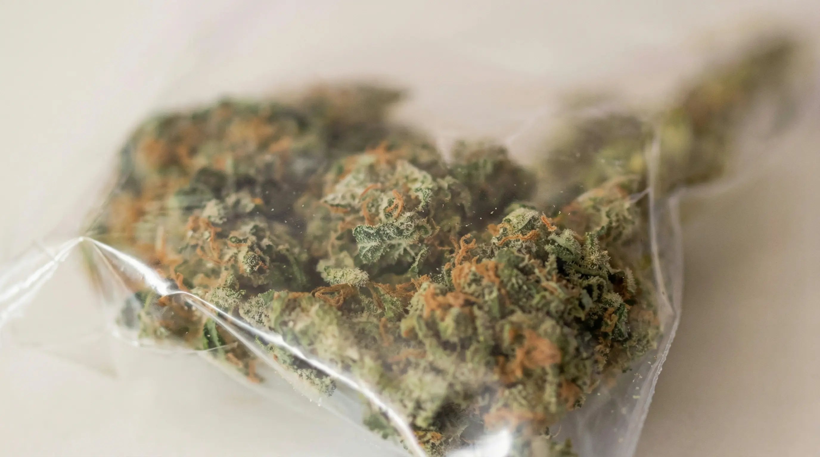 How Long Does Weed Last in Ziploc? Complete Storage Guide &amp; Better Options