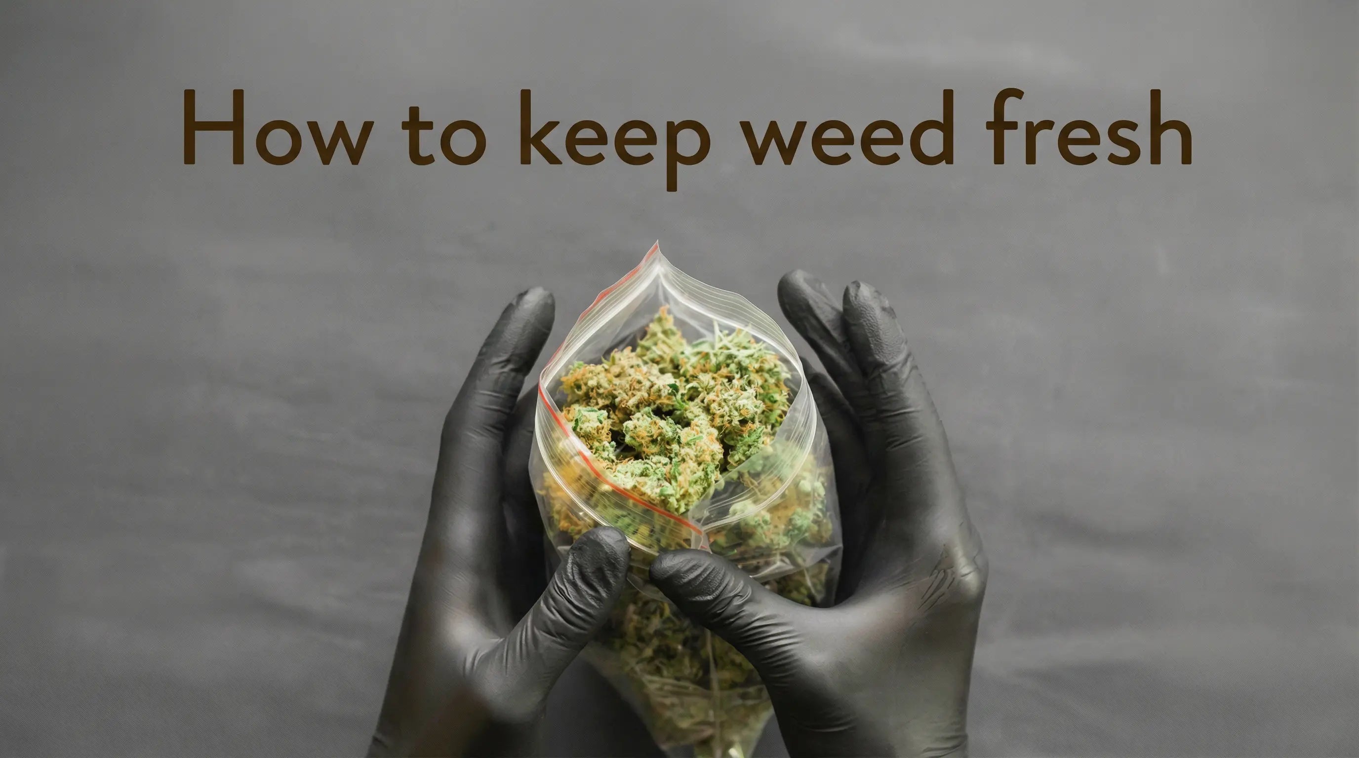 How to Keep Weed Fresh: The Ultimate Guide for Cannabis Enthusiasts