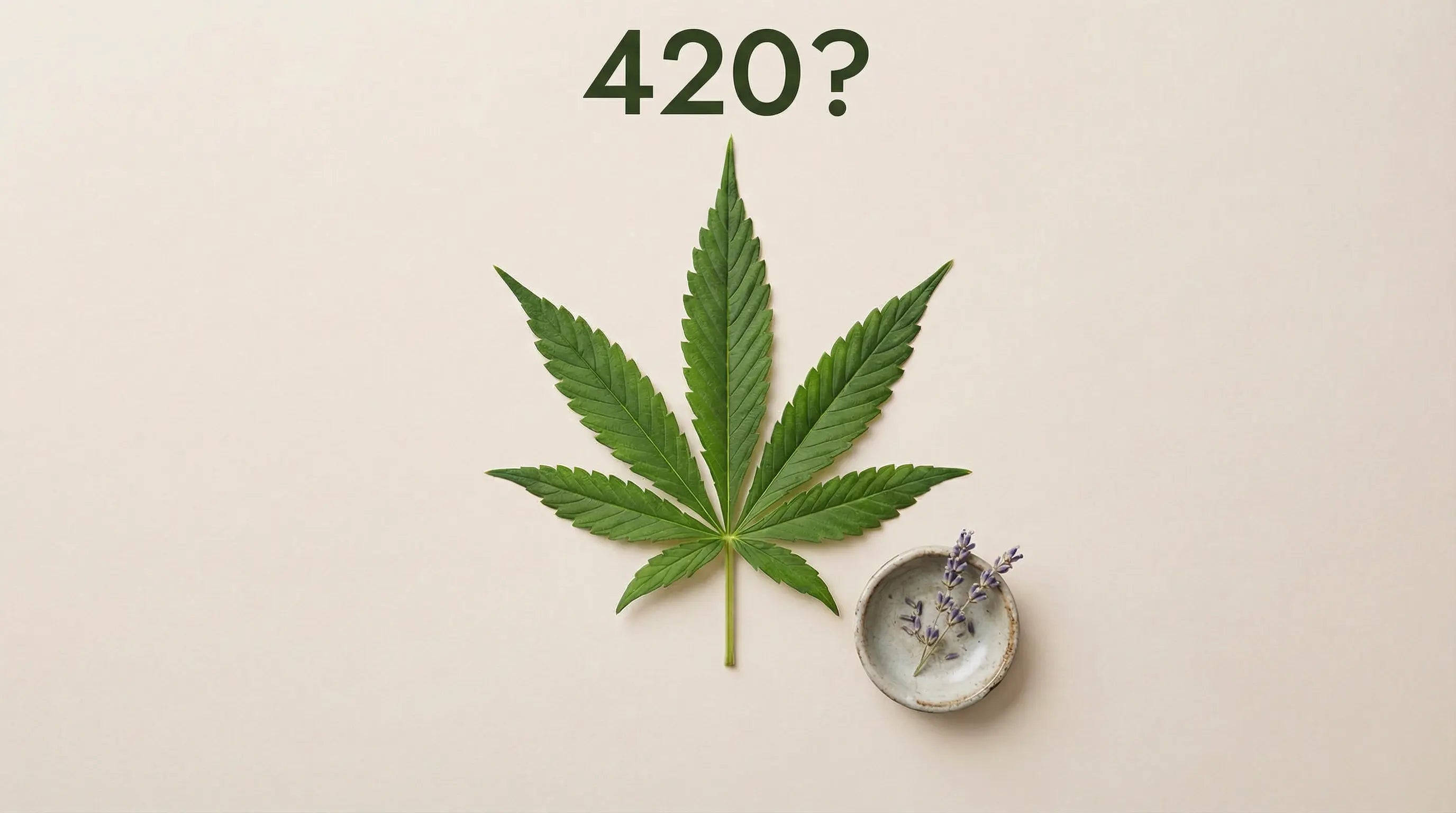 Cannabis leaf on a beige background with the text "420?" above it and a small ceramic bowl with lavender sprigs in the corner