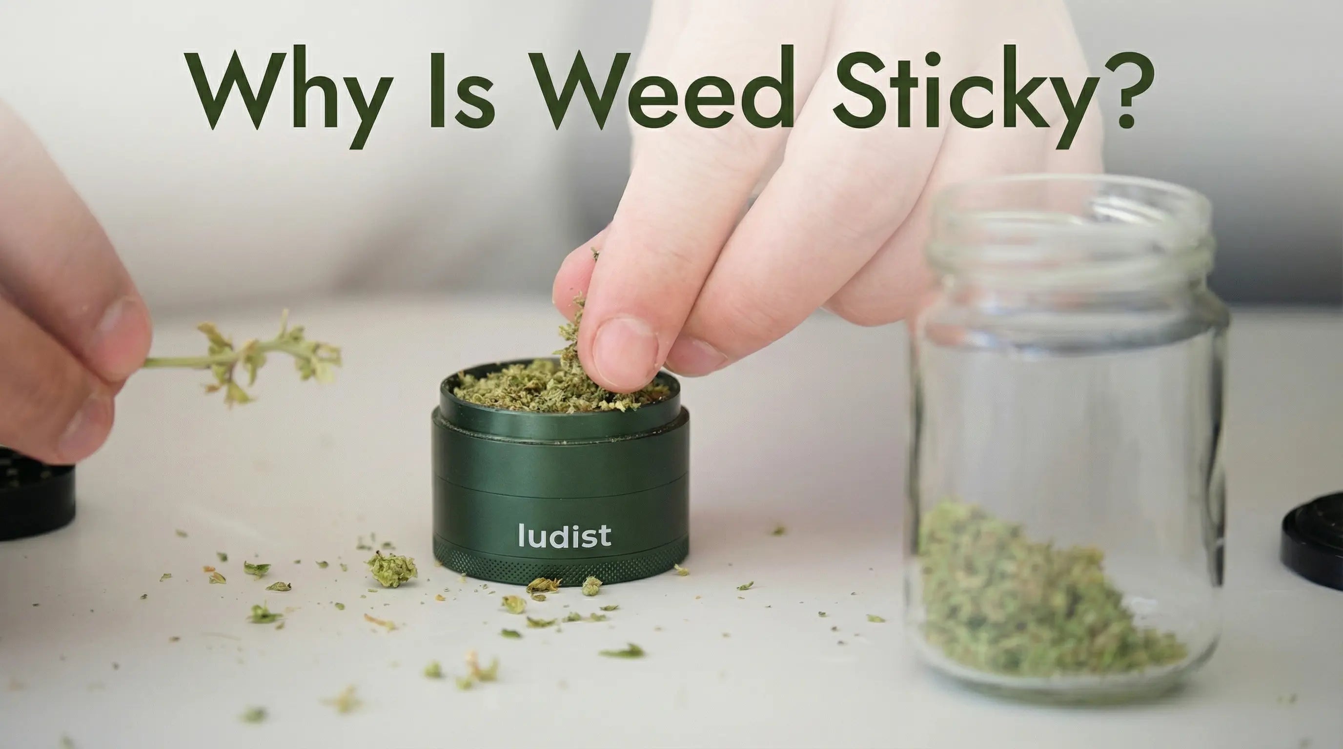 Why Is Weed Sticky? What It Means and Why It Matters