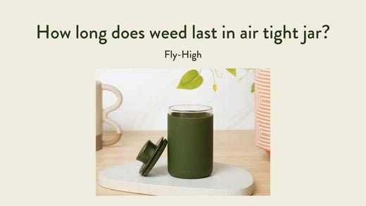 A green air-tight jar with its lid removed sits on a countertop, with a plant and decorative items in the background.