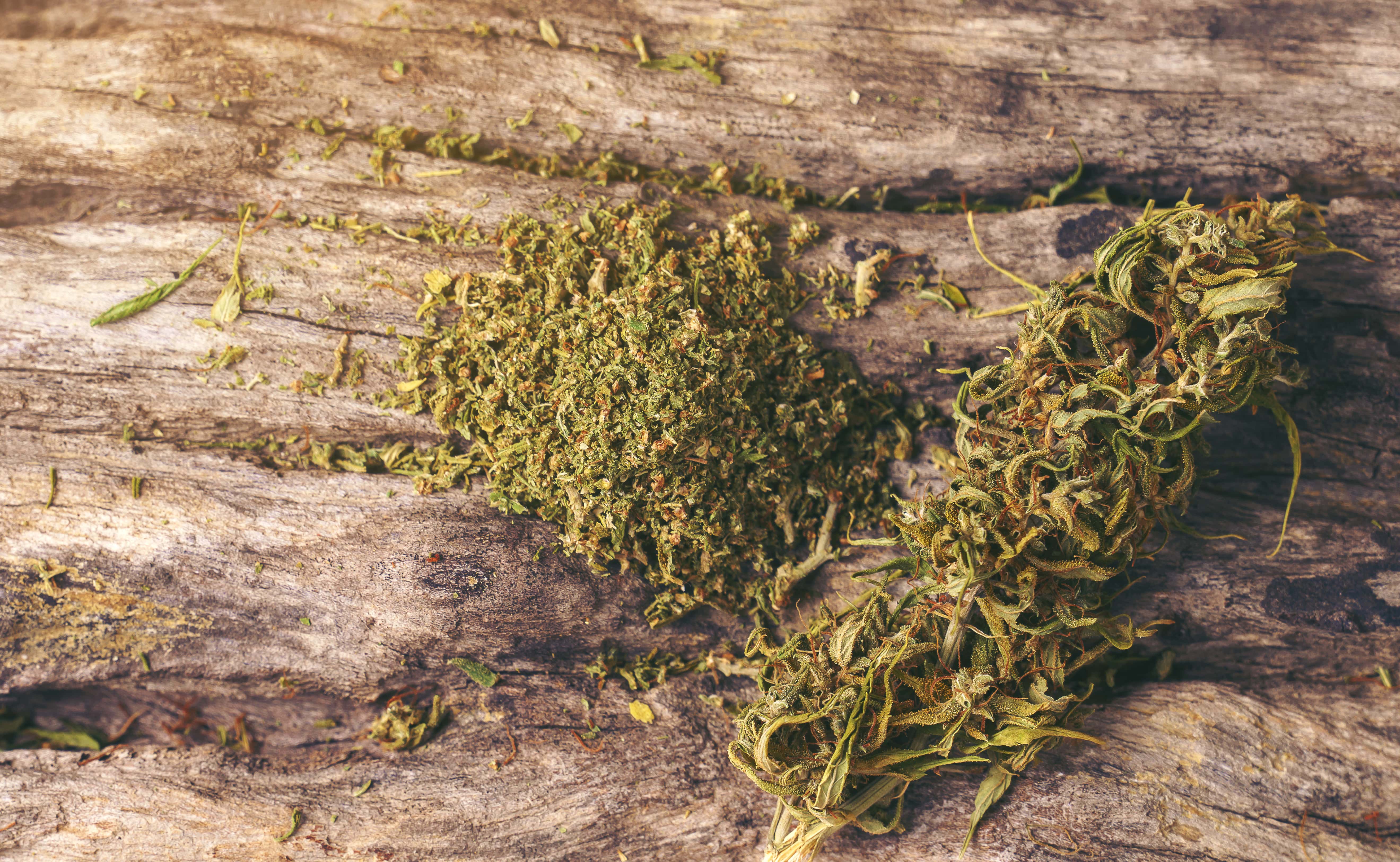 how to dry wet weed