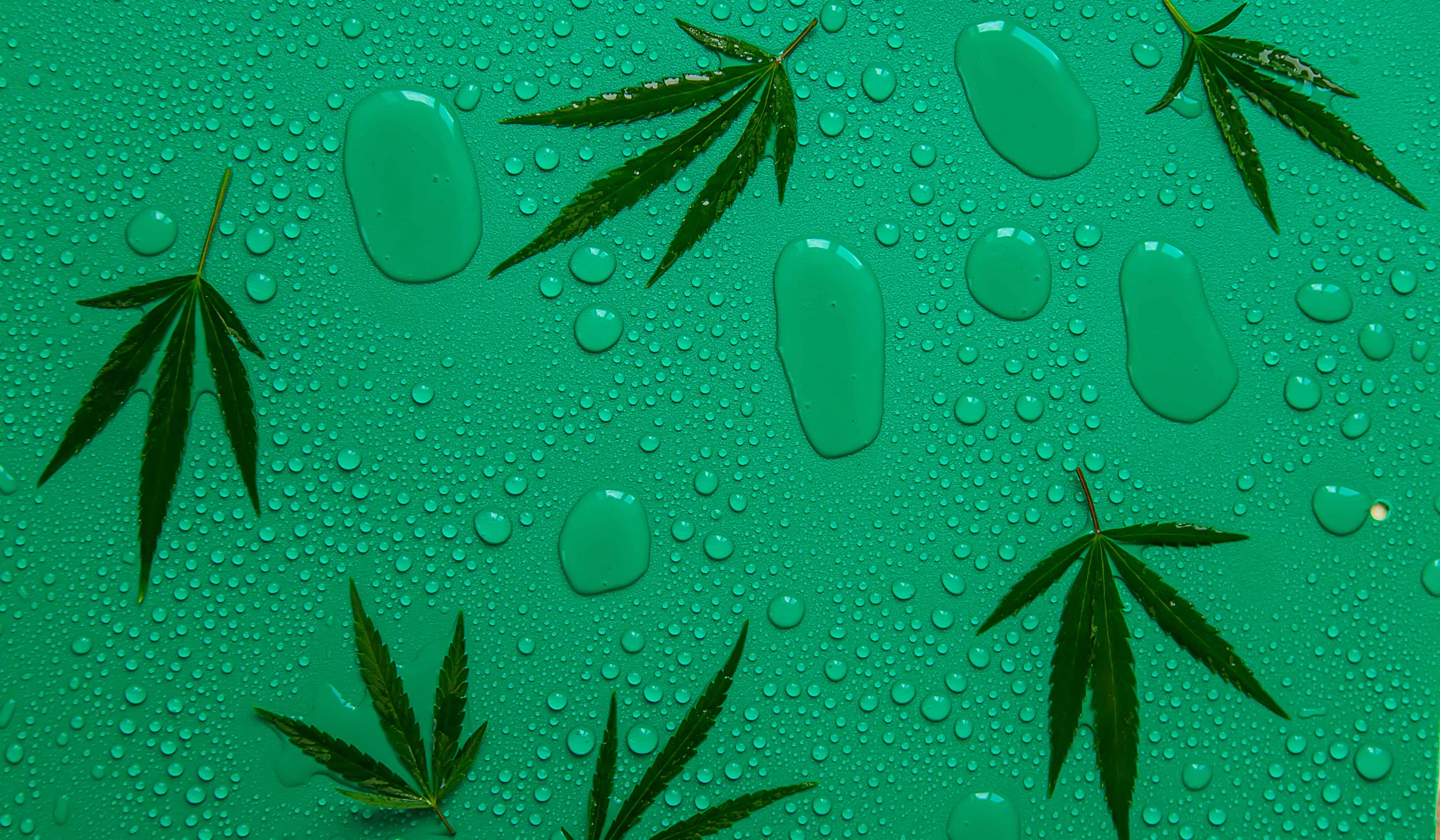 how to keep weed moist